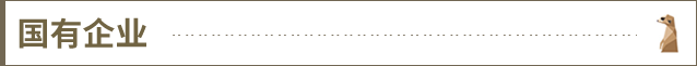 国有企业@2x.png