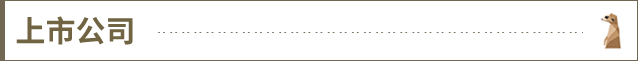 上市公司@2x.png