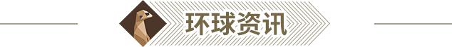 环球资讯@2x.png