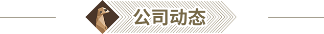 公司动态@2x.png