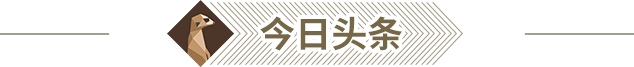 1617699074464091.png